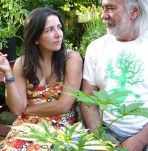  Rozhovor s konopným průkopníkem Wernardem Bruiningem