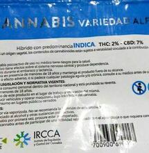 Uruguay tiene bolsa para su cannabis de farmacia