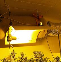 Weshalb fliegt mein grow auf?