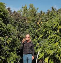 A la hidroponía dale aire y dale gas