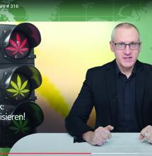 Duitsland: licht op groen voor legalisering cannabis!