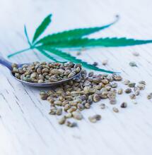 La nuez del cáñamo: una delicia nutritiva