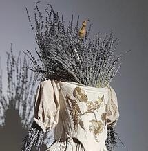 BESMET! Welke inzichten bieden historische epidemieën voor de toekomst?