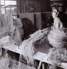 Cáñamo chileno: patrimonio material e inmaterial