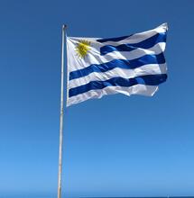 10 years of legalisation in Uruguay, has it been a success