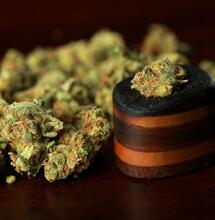 10 Best Weed Pipes On The Market