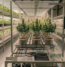 10 Top Tips for Cleaning Your Hydroponic Systems After Harvest