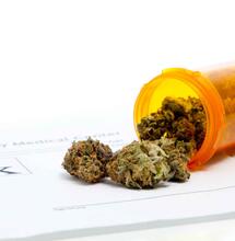 Cannabis médical : le cap du 1000eme patient a été franchi  