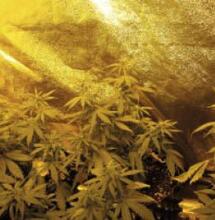 Irrigating the soil the right way