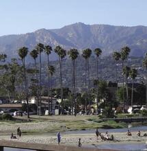 California goes cannabis