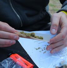 Cómo hacer una cata de cannabis.