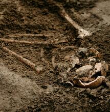 17th-Century Cannabis Use in Milan: What Has New Research Revealed?
