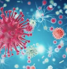 Culture organique et micro-organismes bénéfiques