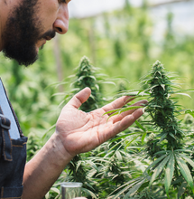 Regulación en LATAM