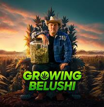 Growing Belushi S3: ‘Iedereen lijdt’