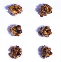 Advertorial Provithor