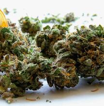 2,30 Euro für medizinisches Cannabis
