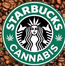 Starbucks potrebbe essere la prima multinazionale a proporre infusi di cannabis, secondo gli analisti