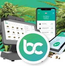 BitCanna: Una Rivoluzione Nel Mercato Della Cannabis