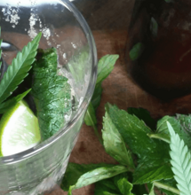 Cócteles cannábicos de verano psicotropicales