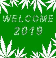 2019: che sia l'inizio di una nuova era per la Cannabis