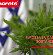 Israele e Cannabis