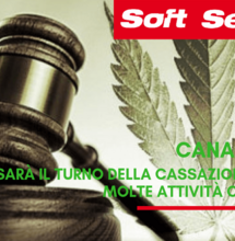 Canapa light aspettando la Cassazione. Attività commerciali a rischio
