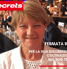 Stato di fermo per Rita Bernardini per la coltivazione di cannabis sul suo terrazzo