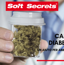 La cannabis aiuta a ridurre l'insulina per i malati di diabete di tipo 2
