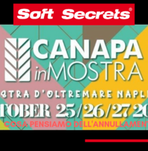 Canapa in mostra
