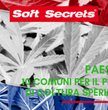 Paesi Bassi: 10 comuni per partecipare al progetto di coltura sperimentale