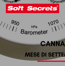 Cannametro di Settembre 2019