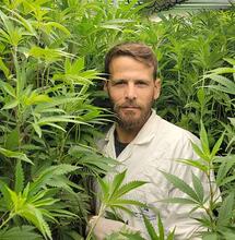 Matías Litvak: una carriera di successo coltivando cannabis in Israele 