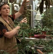 Dal film alla realtà