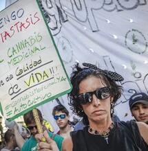 Cannabis medicinal: leyes en provincias argentinas no ayudaron