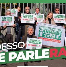 Referendum Cannabis Legale: richiesto incontro con vertici Rai
