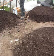 3 bancales profundos para cultivo de marihuana