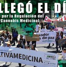 Ecuador cerca del cannabis medicinal