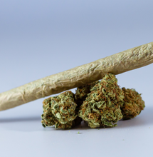 ¿Hay ventajas o desventajas por usar cannabis? Mmm...