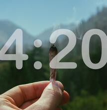 Jaká je historie 4/20 a co stálo za zrodem dnešního marihuanového svátku?