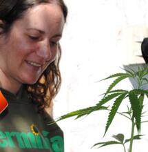 El primer grow de Chile cierra tras 12 años