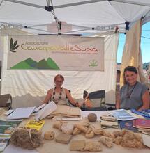 Canapa Day in Val di Susa per parlare di diritti e filiere