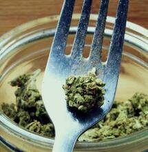 Il consumo di cannabis a crudo impedisce il cancro all'intestino, la fibromialgia e le malattie neurodegenerative