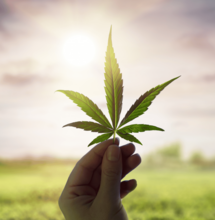 The most cost-effective fertilizers in the world?