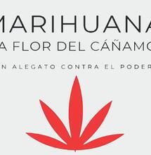 "Marijuana, il fiore della canapa": la lezione di Daniel Vidart su potere, stigma e proibizionismo