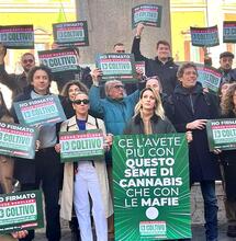 Cannabis: il Senato apre al DDL "Io Coltivo". È l’inizio di una nuova era?