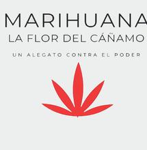 "Marijuana, il fiore della canapa": la lezione di Daniel Vidart su potere, stigma e proibizionismo