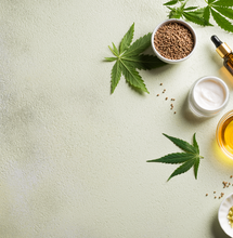 Castilla: Cultura Cannabis un libro imprescindible