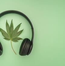 8 Cannabis Podcasts to Keep You Company This Summer