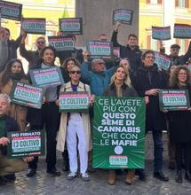 Due mesi di legge Caivano, cosa cambia per la Cannabis
